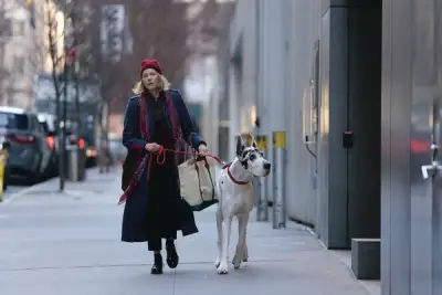 A very good boy can’t save ‘The Friend’ from disaster 