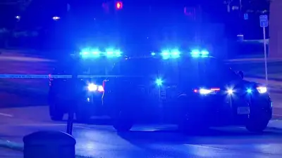 Fairfax teen says he shot man who jumped in front of and kicked his Tesla
