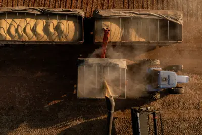 The 'Oscar' of food prizes goes to a Brazilian who harnessed the power of bacteria