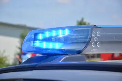 Police: 5 injured in Connecticut mall shooting, person of interest in custody