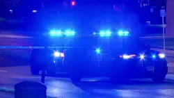 Fairfax teen says he shot man who jumped in front of and kicked his Tesla